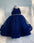 Party Wear Net Frill Midnight Blue Gown for Kids